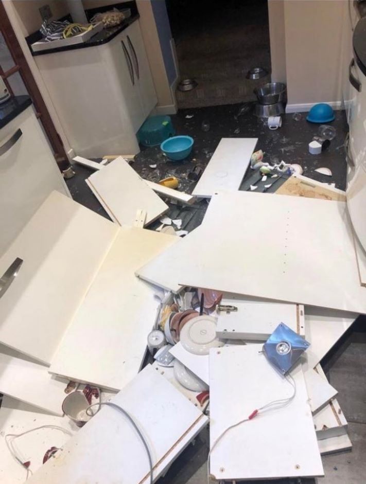 19 օրինակ, թե ինչ է պատահում, երբ երջանկության թռչունը թռչում գալիս է` միայն ձեր գլխին կեղտոտելու համար