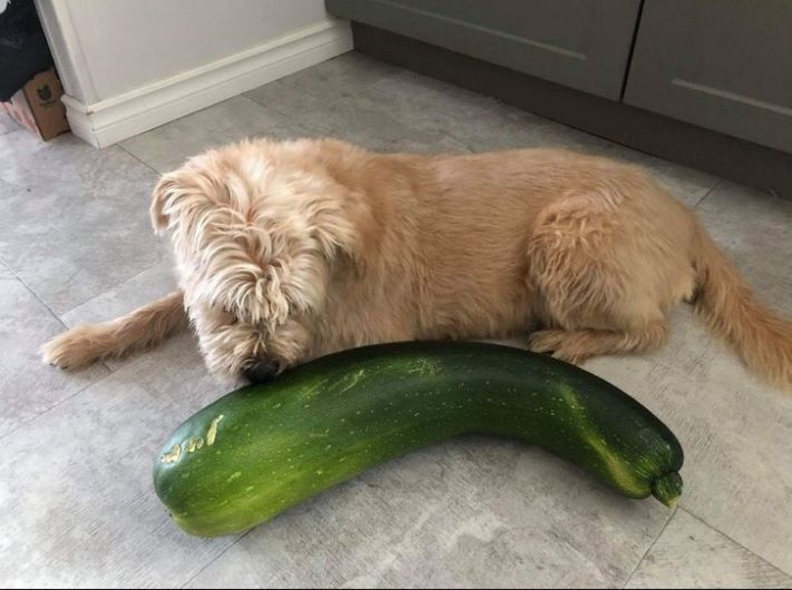 16 հստակ օրինակ, որ չափը կարևոր է` անկախ մեր կարծիքից