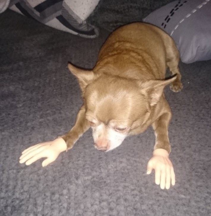 20 տարօրինակ նկարներ` &laquo;Շատ հարցեր և ոչ մի պատասխան&raquo; շարքից