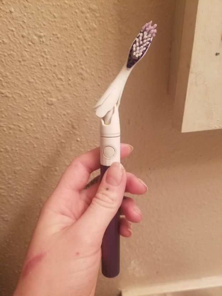 19 օրինակ, թե ինչ է պատահում, երբ երջանկության թռչունը թռչում գալիս է` միայն ձեր գլխին կեղտոտելու համար