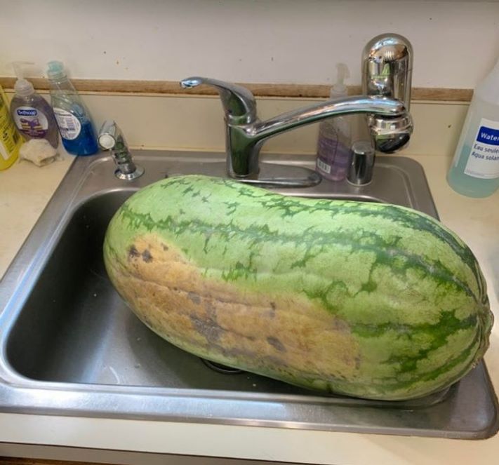 16 հստակ օրինակ, որ չափը կարևոր է` անկախ մեր կարծիքից