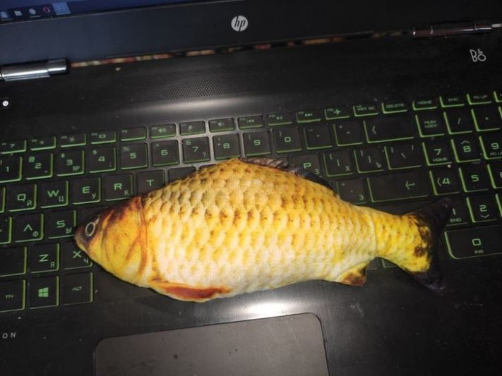 18 իրեր առցանց խանութներից, որոնք շփոթության մեջ կգցեն նույնիսկ ամենամոլի գնորդին