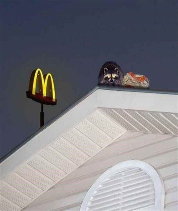 20 տարօրինակ նկարներ` &laquo;Շատ հարցեր և ոչ մի պատասխան&raquo; շարքից