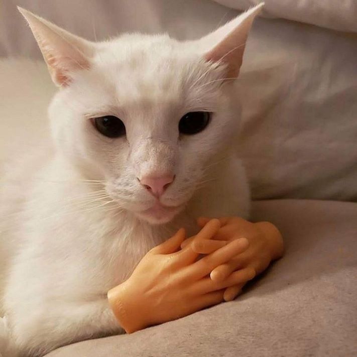 18 իրեր առցանց խանութներից, որոնք շփոթության մեջ կգցեն նույնիսկ ամենամոլի գնորդին