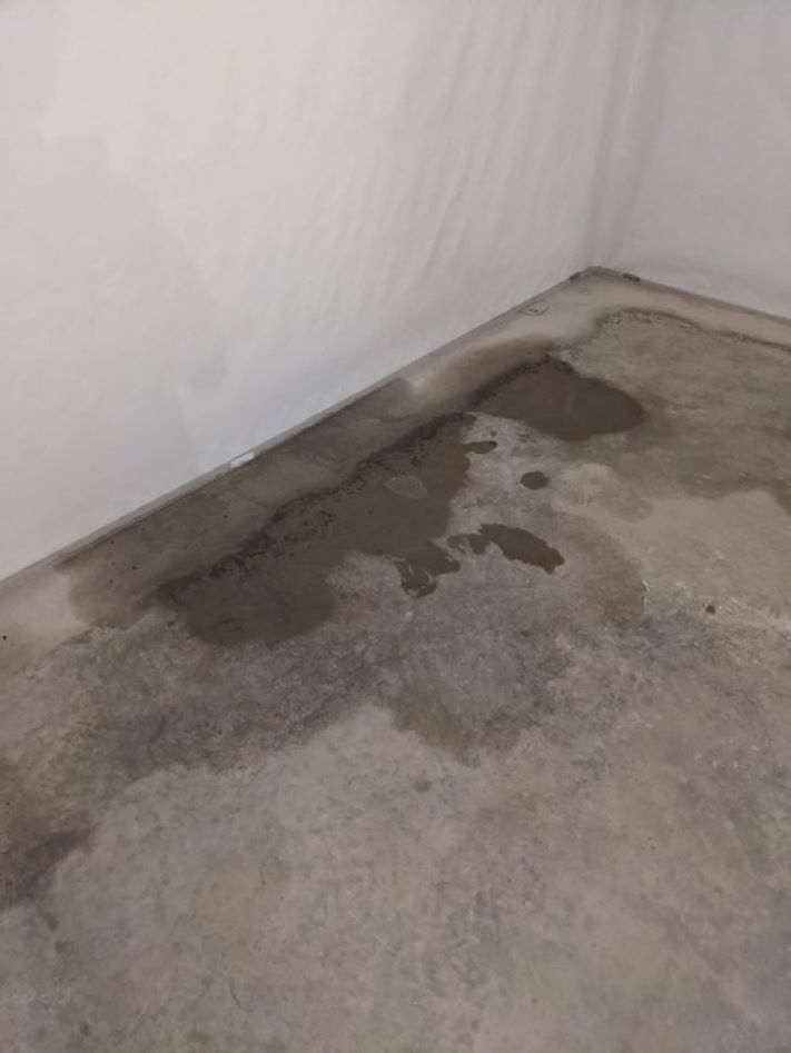 19 օրինակ, թե ինչ է պատահում, երբ երջանկության թռչունը թռչում գալիս է` միայն ձեր գլխին կեղտոտելու համար