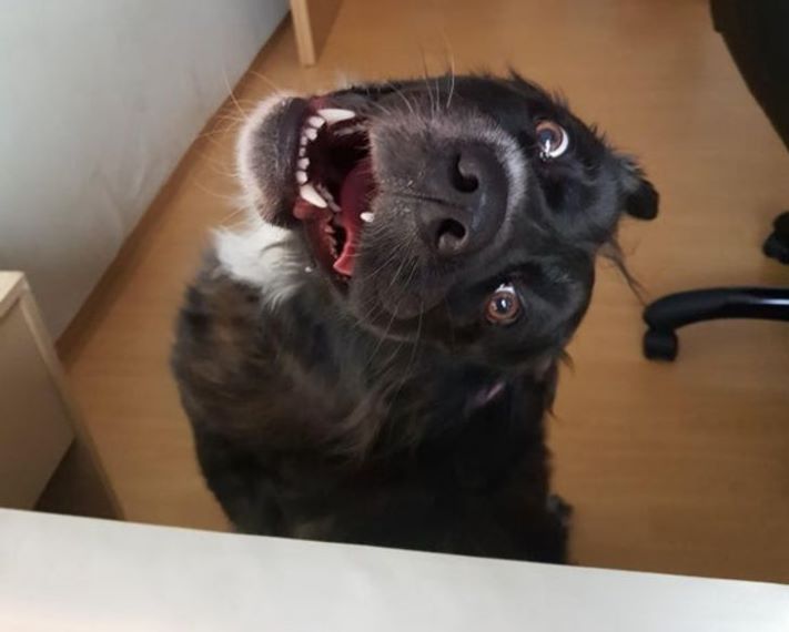 18 լուսանկար, որոնք արվել են ճիշտ ժամանակին և ճիշտ անկյան տակ