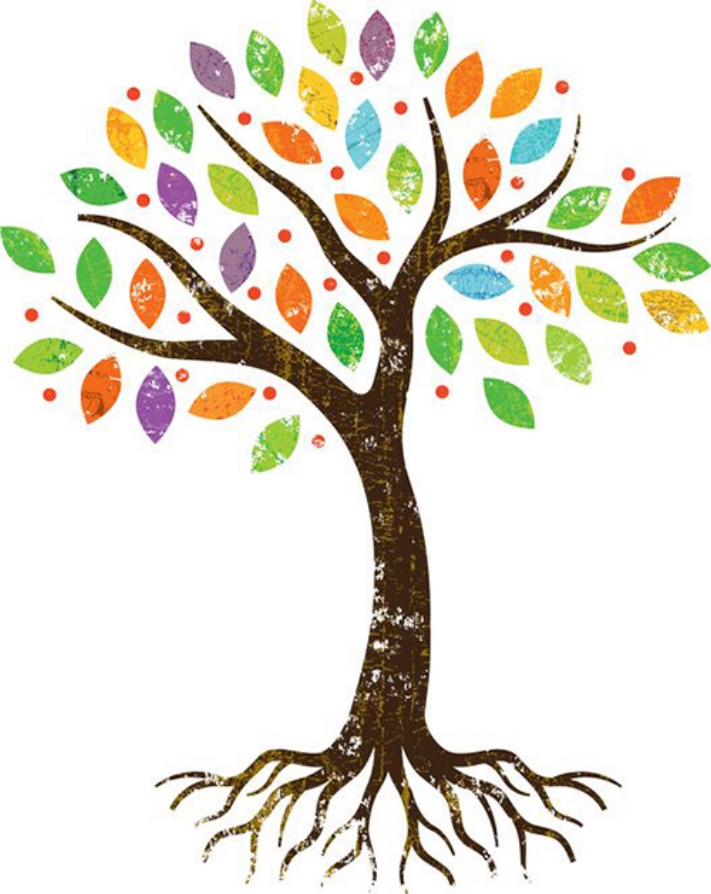 Հոգեբանները կարծում են, որ ծառի ընտրությունը կպատմի ձեր անհատականության գլխավոր հատկանիշի մասին