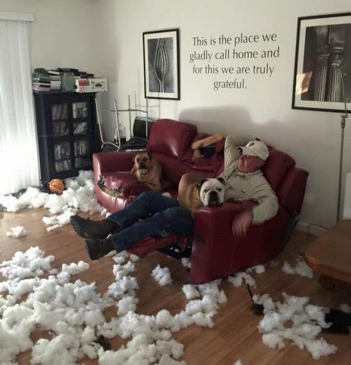 20 լուսանկար, որոնք ցույց են տալիս, որ տղամարդը ցանկացած տարիքում մնում է հնարամիտ երեխա