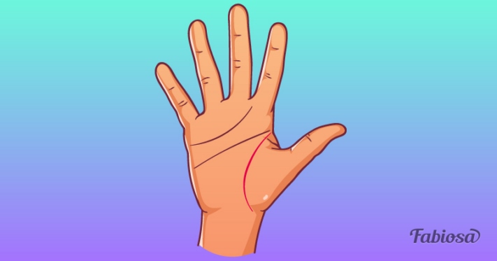 Կյանքի գիծ․ Ի՞նչ կարող են Ձեր մասին պատմել Ձեր ձեռքի գծերը