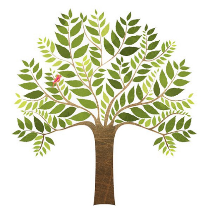 Հոգեբանները կարծում են, որ ծառի ընտրությունը կպատմի ձեր անհատականության գլխավոր հատկանիշի մասին