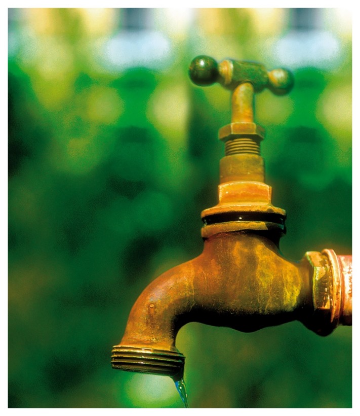 Հոգեբանական թեստ. Ընտրեք ծորակ և տեսեք, թե ինչպես է ընթանում ձեր կյանքը