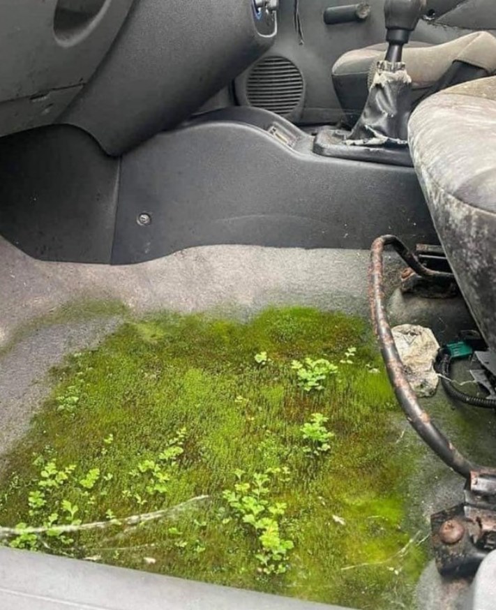 20 տարօրինակ նկարներ` &laquo;Շատ հարցեր և ոչ մի պատասխան&raquo; շարքից