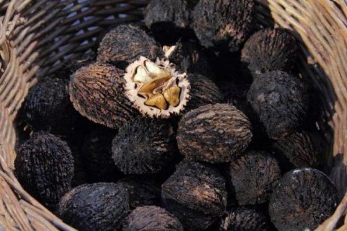 7 բույս, որոնք արագորեն ազատում են ճիճուներից