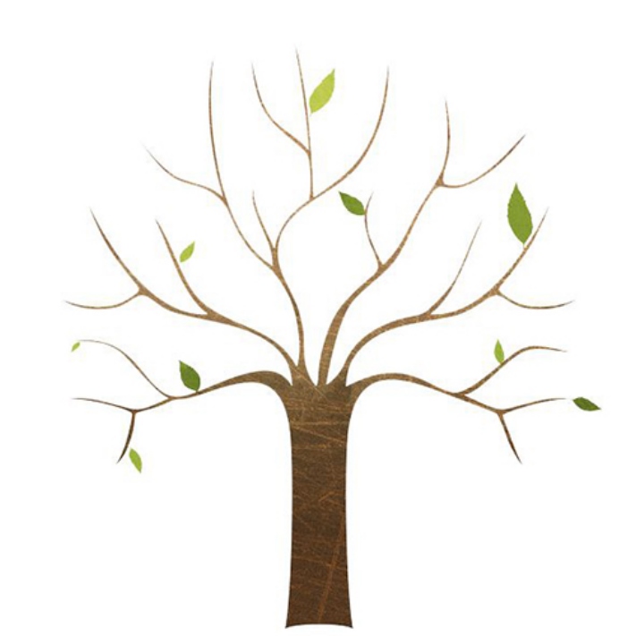 Հոգեբանները կարծում են, որ ծառի ընտրությունը կպատմի ձեր անհատականության գլխավոր հատկանիշի մասին