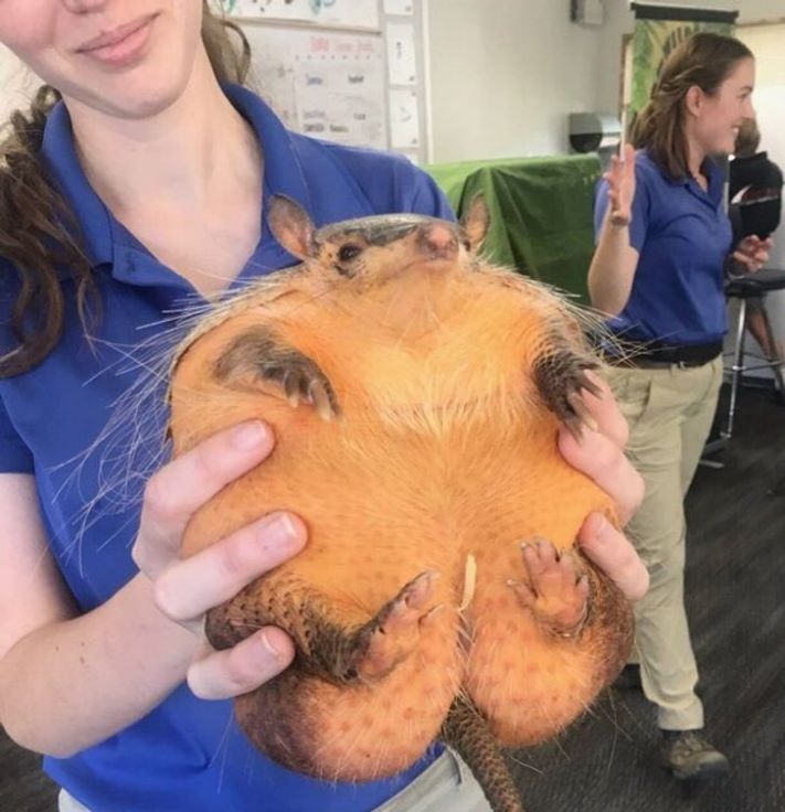 16 հստակ օրինակ, որ չափը կարևոր է` անկախ մեր կարծիքից