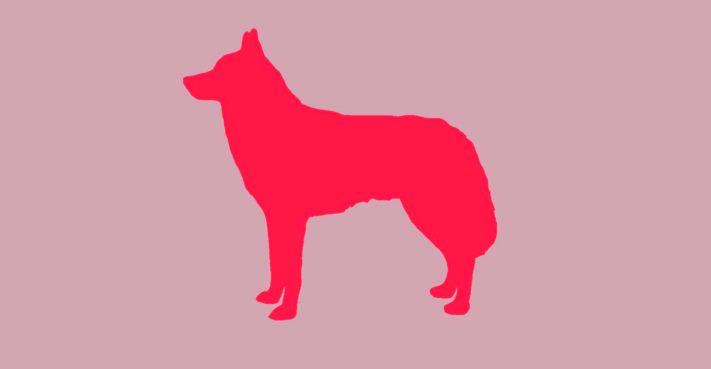 Հոգեբանական թեստ. Առաջինը, ինչ կտեսնեք նկարում, կպատմի ձեր ներքին խնդիրների մասին