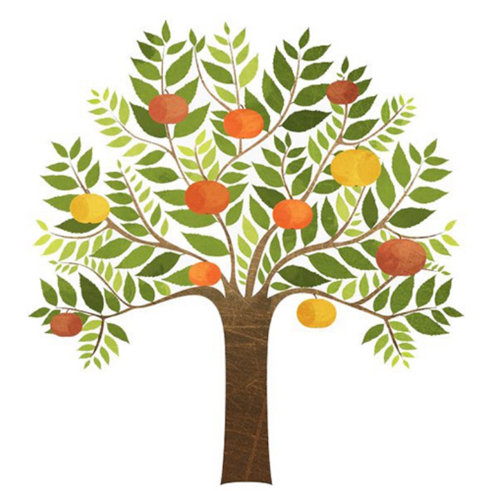 Հոգեբանները կարծում են, որ ծառի ընտրությունը կպատմի ձեր անհատականության գլխավոր հատկանիշի մասին