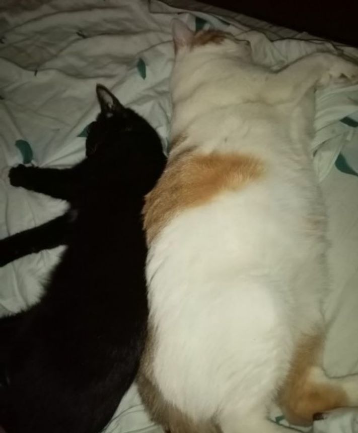 16 հստակ օրինակ, որ չափը կարևոր է` անկախ մեր կարծիքից