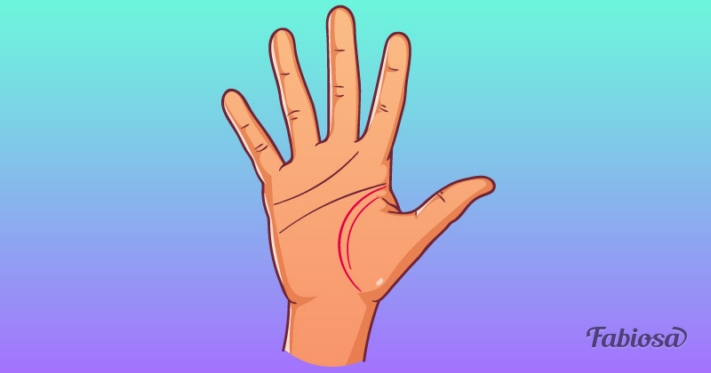 Կյանքի գիծ․ Ի՞նչ կարող են Ձեր մասին պատմել Ձեր ձեռքի գծերը