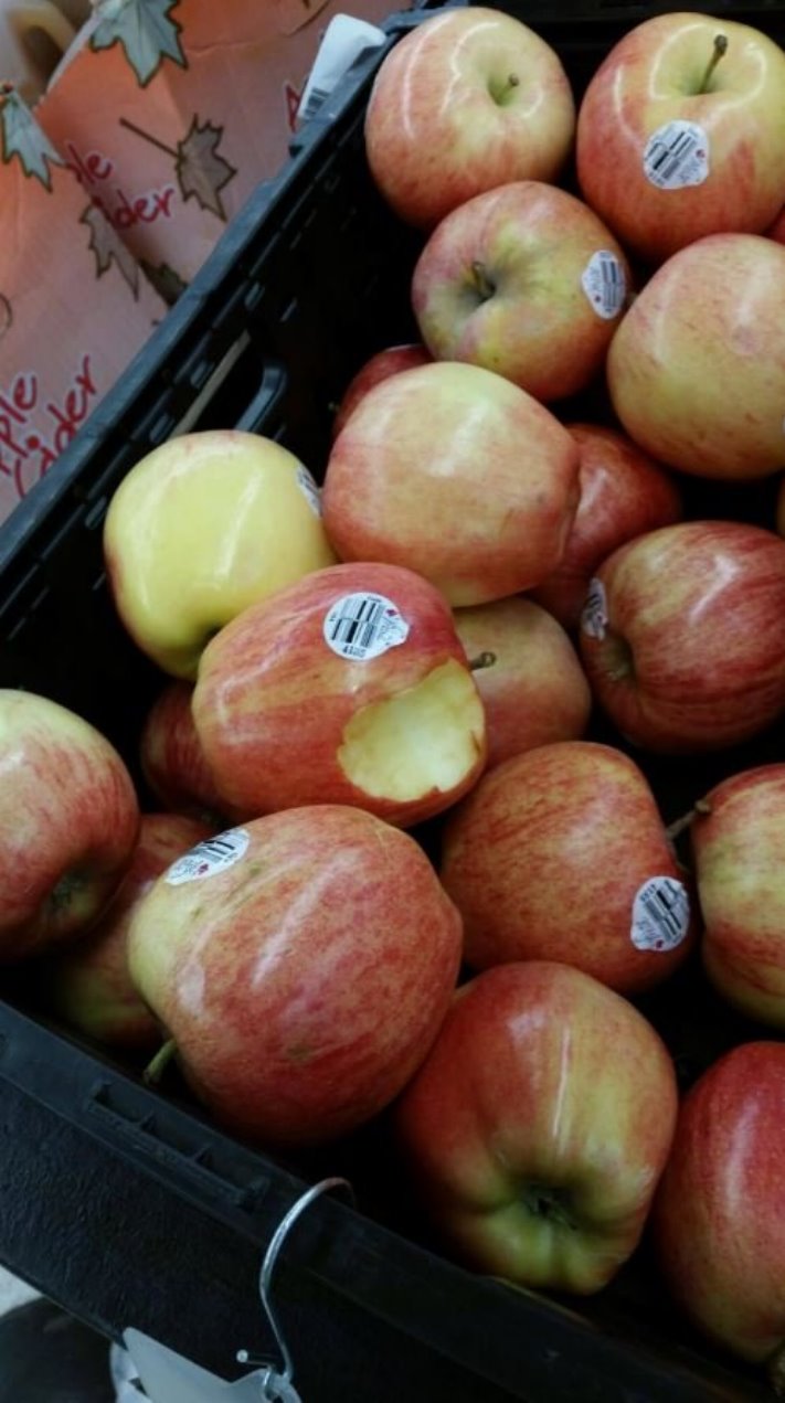 14 կադր այն մարդկանցով, ովքեր վաղուց պետք է վտարվեին մոլորակից