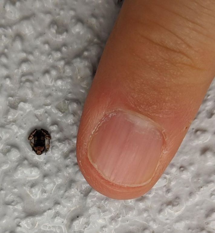 16 հստակ օրինակ, որ չափը կարևոր է` անկախ մեր կարծիքից