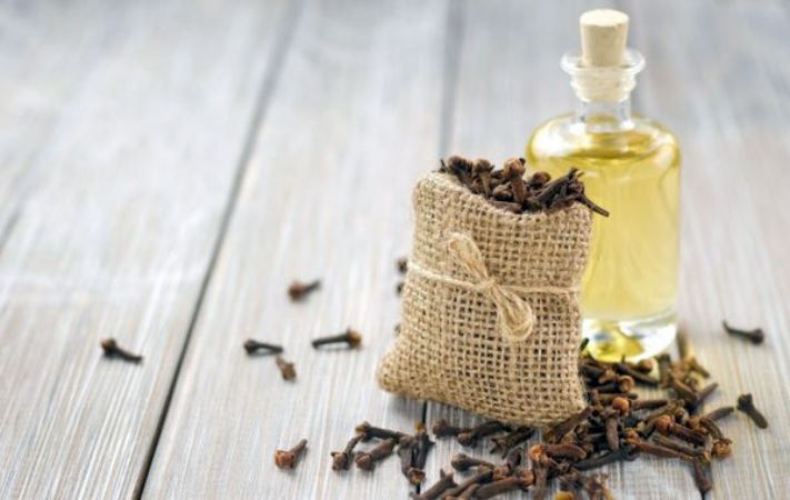 7 բույս, որոնք արագորեն ազատում են ճիճուներից