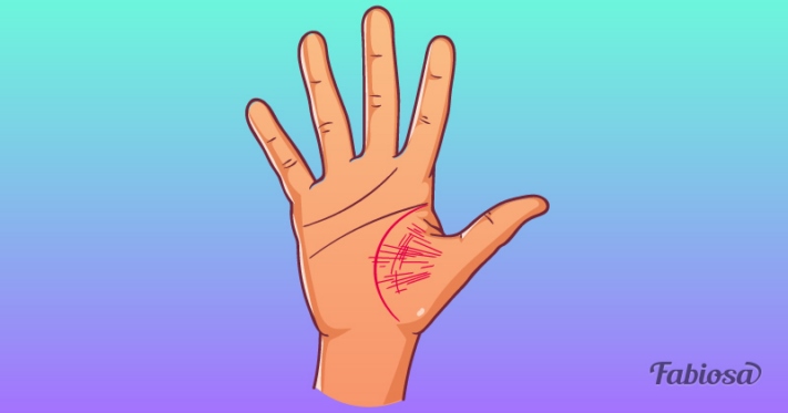 Կյանքի գիծ․ Ի՞նչ կարող են Ձեր մասին պատմել Ձեր ձեռքի գծերը