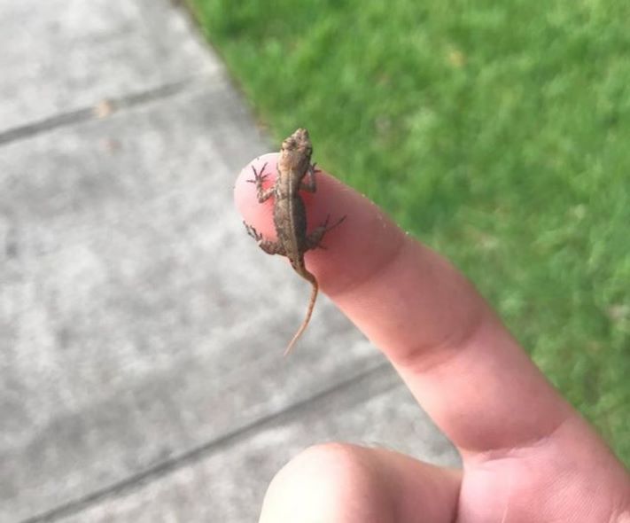 16 հստակ օրինակ, որ չափը կարևոր է` անկախ մեր կարծիքից