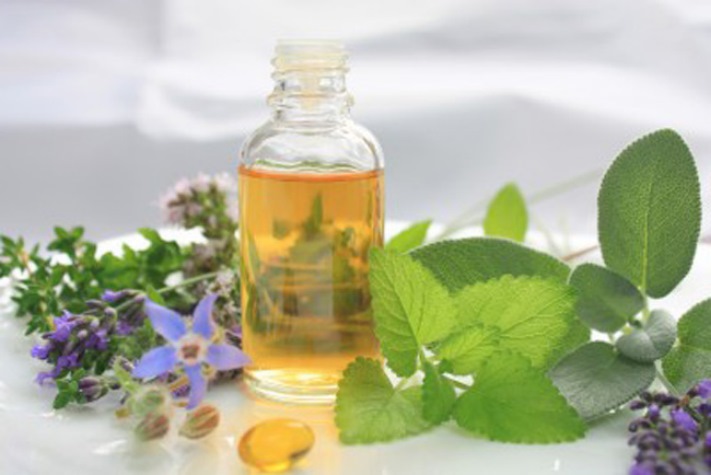 7 բույս, որոնք արագորեն ազատում են ճիճուներից