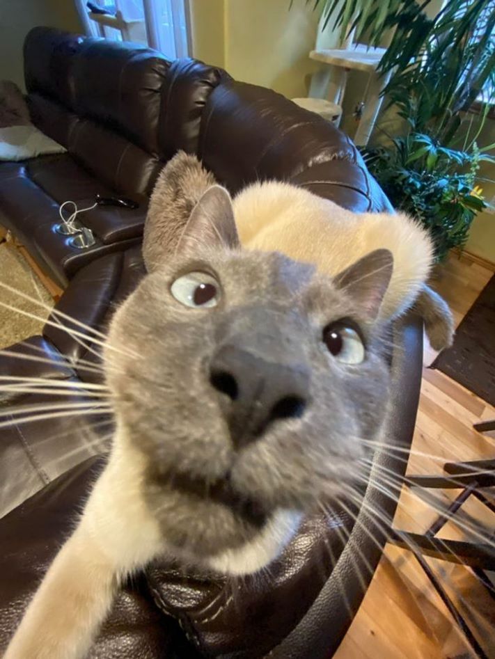 18 լուսանկար, որոնք արվել են ճիշտ ժամանակին և ճիշտ անկյան տակ