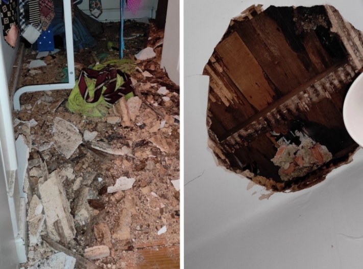 19 օրինակ, թե ինչ է պատահում, երբ երջանկության թռչունը թռչում գալիս է` միայն ձեր գլխին կեղտոտելու համար