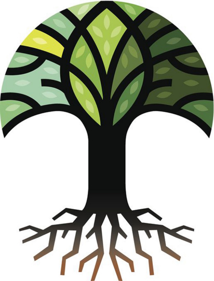 Հոգեբանները կարծում են, որ ծառի ընտրությունը կպատմի ձեր անհատականության գլխավոր հատկանիշի մասին