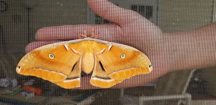 16 հստակ օրինակ, որ չափը կարևոր է` անկախ մեր կարծիքից