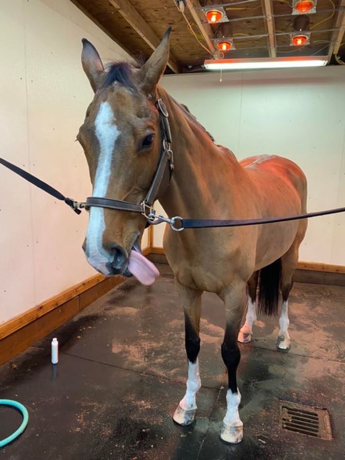 18 լուսանկար, որոնք արվել են ճիշտ ժամանակին և ճիշտ անկյան տակ