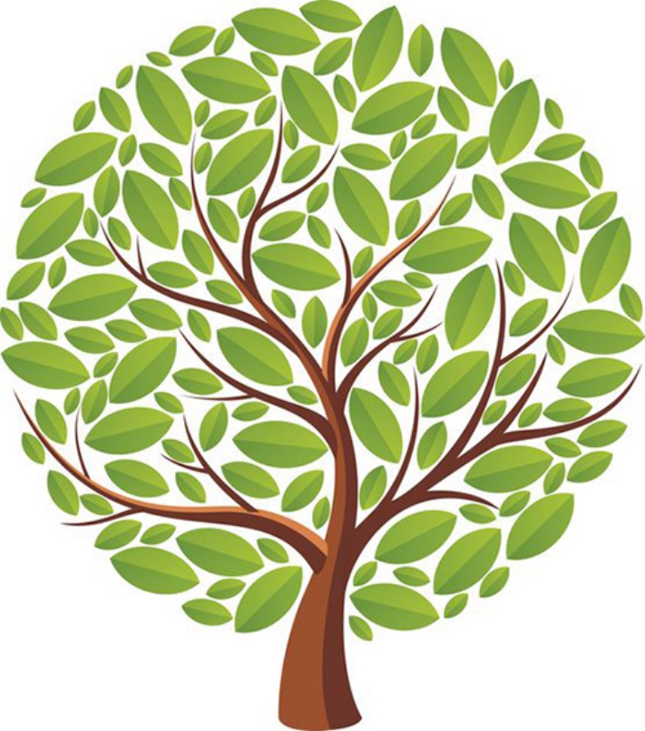 Հոգեբանները կարծում են, որ ծառի ընտրությունը կպատմի ձեր անհատականության գլխավոր հատկանիշի մասին