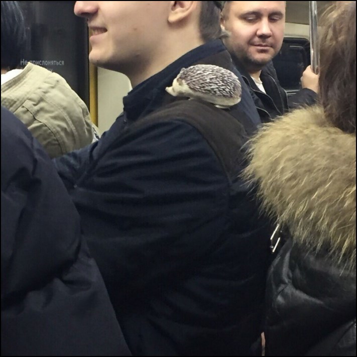 Մետրոյի 18 ուղևոր, որոնց շատ ուշ կմոռանաք