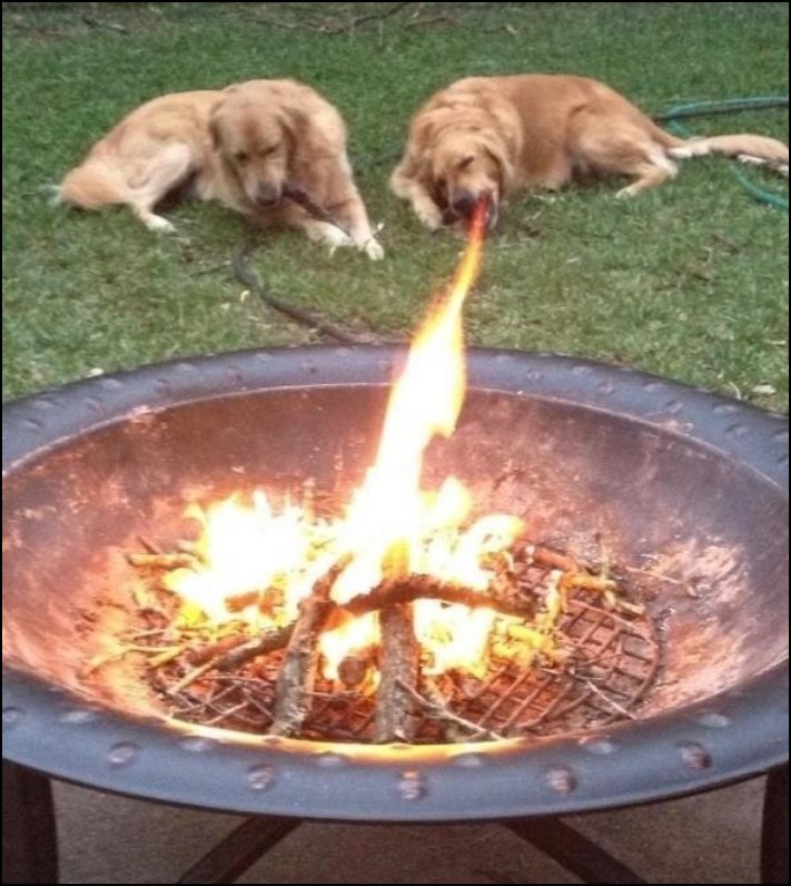 Այստեղ չկա ոչ մի կաթիլ ֆոտոշոփ: 16 նկար, որոնք դուք ստիպված կլինեք նայել մեկ անգամից ավելի