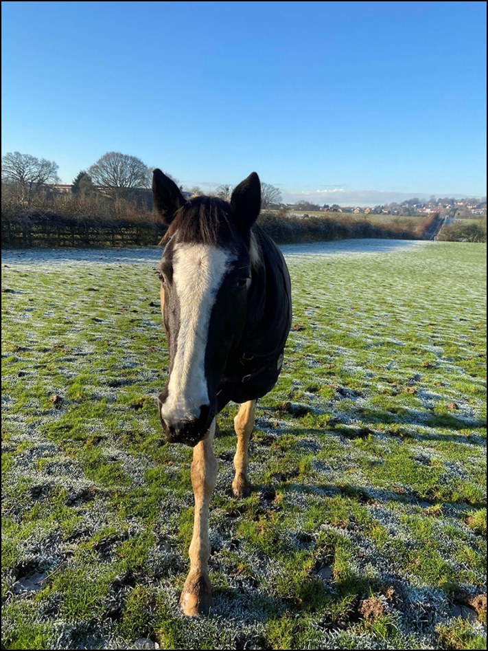 Այստեղ չկա ոչ մի կաթիլ ֆոտոշոփ: 16 նկար, որոնք դուք ստիպված կլինեք նայել մեկ անգամից ավելի