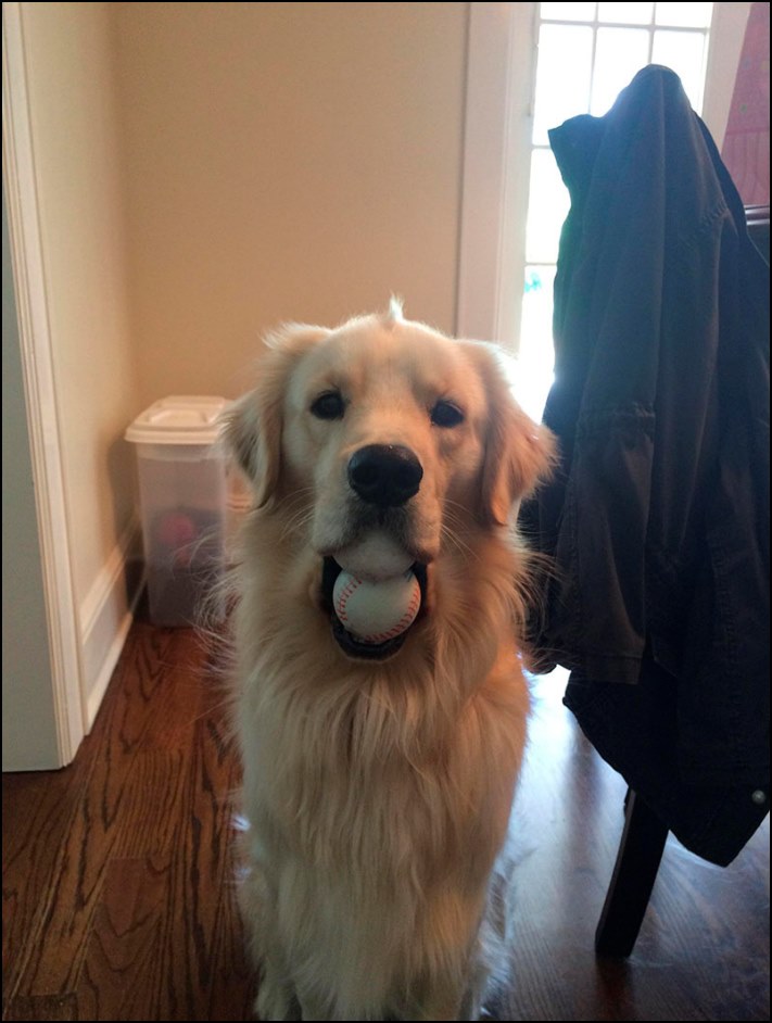 Այստեղ չկա ոչ մի կաթիլ ֆոտոշոփ: 16 նկար, որոնք դուք ստիպված կլինեք նայել մեկ անգամից ավելի