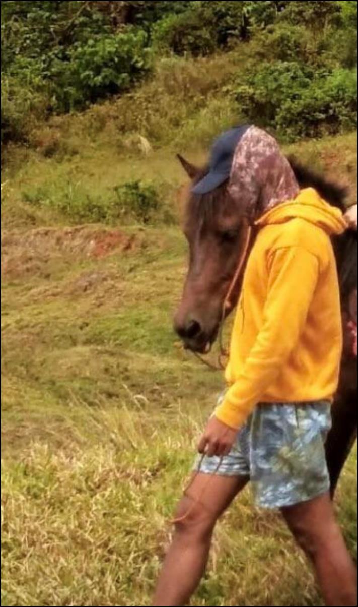 Այստեղ չկա ոչ մի կաթիլ ֆոտոշոփ: 16 նկար, որոնք դուք ստիպված կլինեք նայել մեկ անգամից ավելի