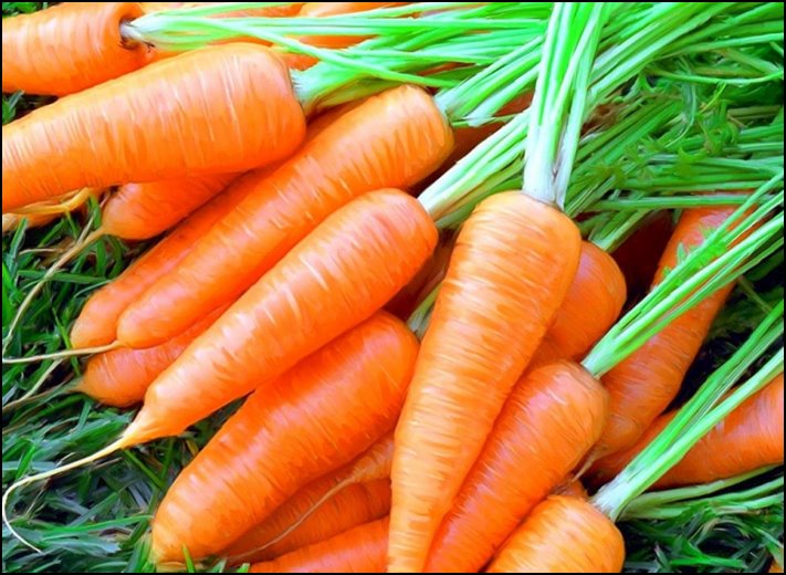 Ի՞նչ կլինի Ձեզ հետ, եթե ամեն օր մեկ հատ գազար ուտեք