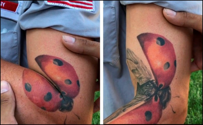 16 անսովոր դաջվածք, որոնց իմաստը բացահայտվում է միայն շարժման մեջ