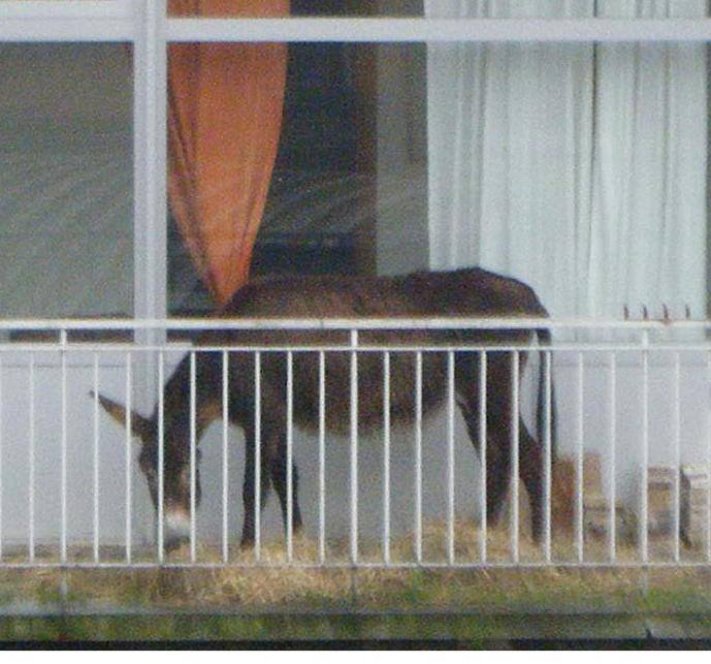 15 պատշգամբ, որոնց դժվար է ուշադրություն չդարձնել