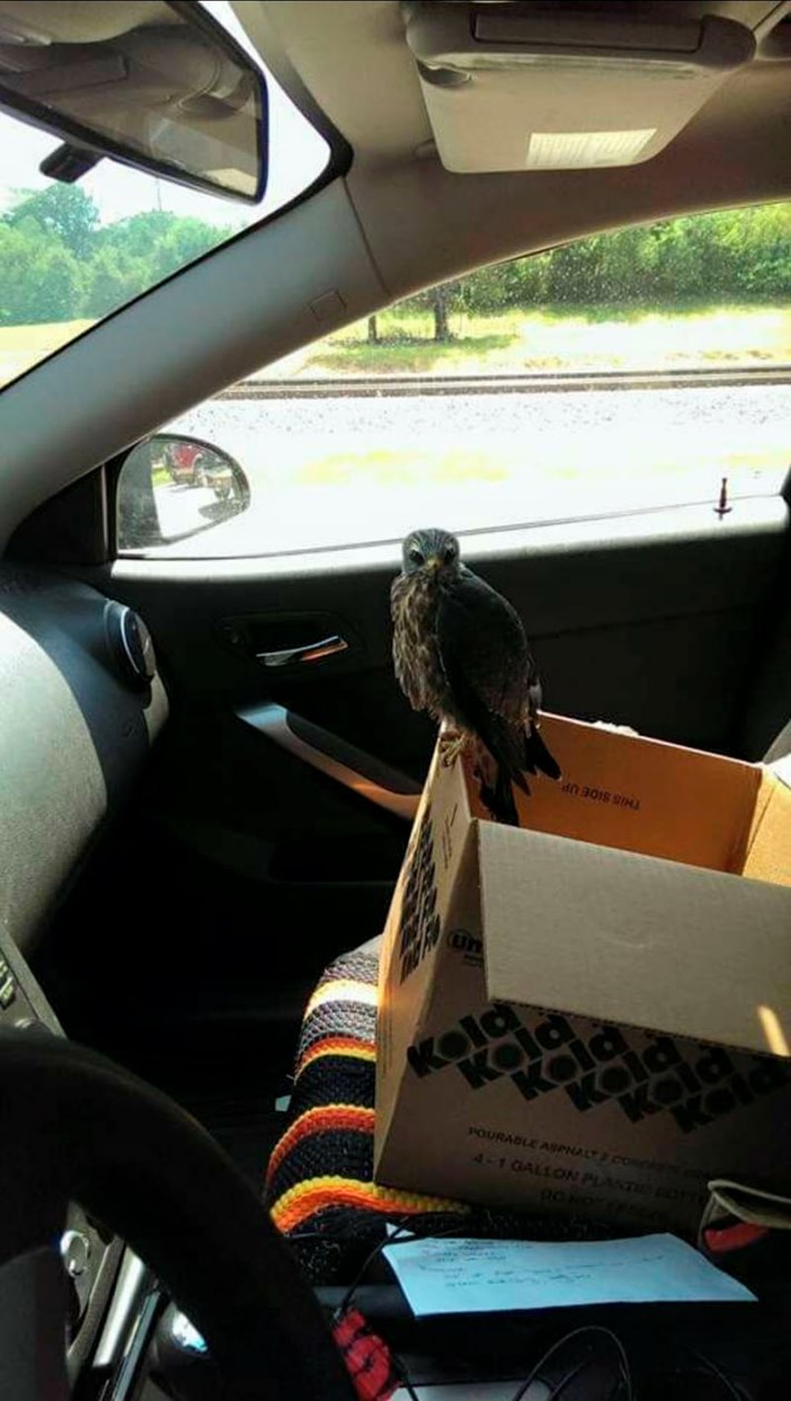 Ավտոսպասարկման 15 լուսանկար, որոնք կասկածի տակ են դնում աշխատողների պրոֆեսիոնալիզմը