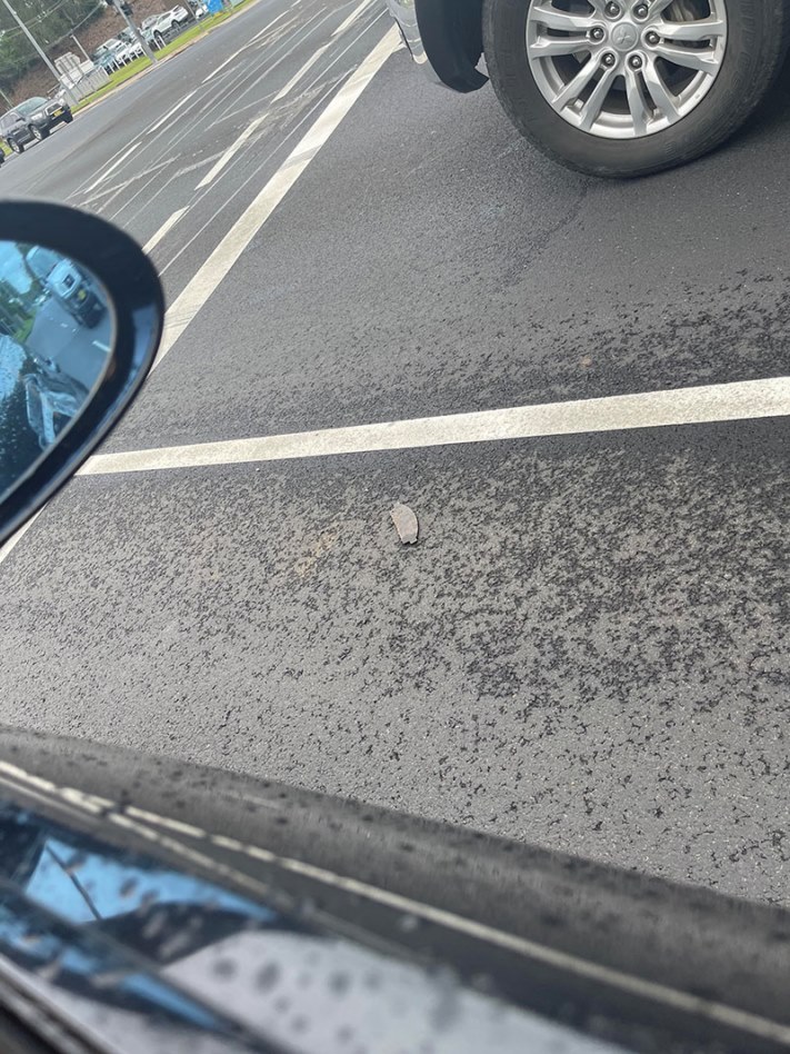 16 օրինակ, թե ինչու են որոշ մարդիկ մեծ հույսով սպասում նոր տարվան, որպեսզի մոռանան անհաջողությունները հին տարում