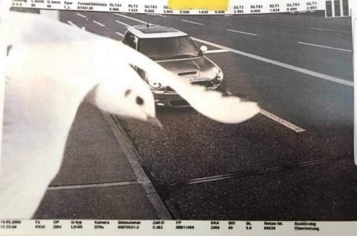 21 լուսանկար, որոնք հաստատում են, որ տիկին Բախտը հաստատ ունի իր սիրելիները