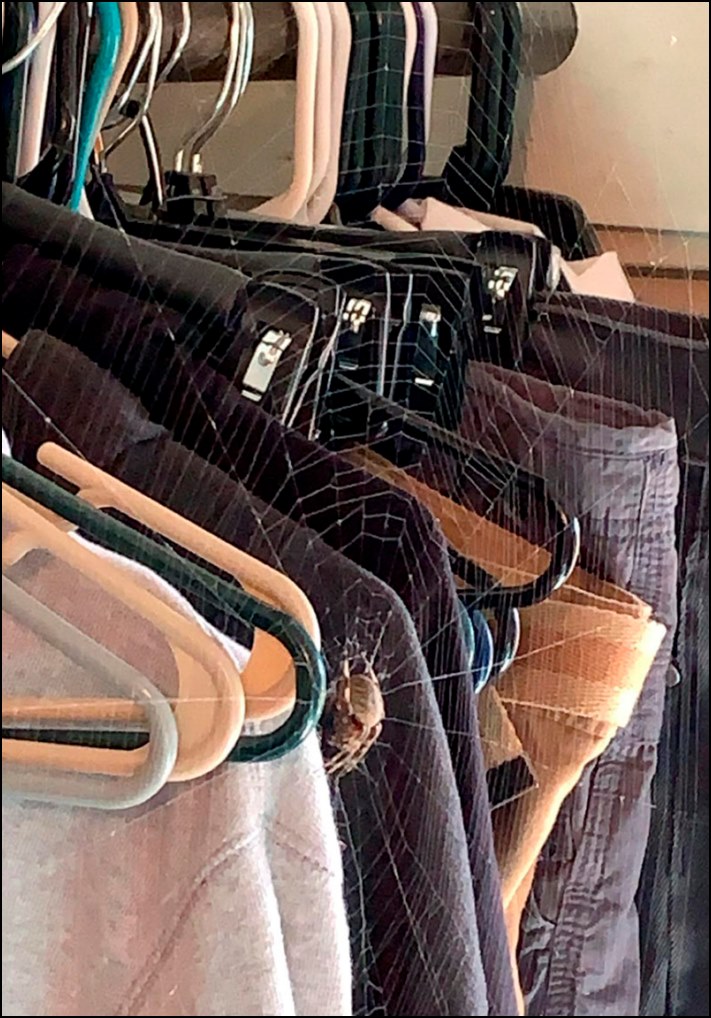 17 տարբեր անակնկալներ, որոնց բախվել են նոր տուն տեղափոխվածները