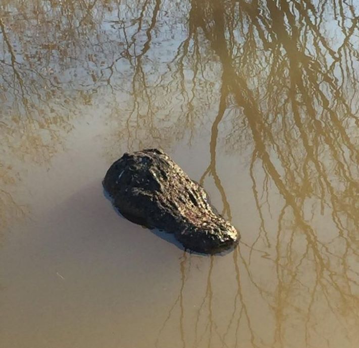 20 գլուխկոտրուկ նկարներ, որոնք հեշտությամբ կխճճեն ձեր ուղեղը