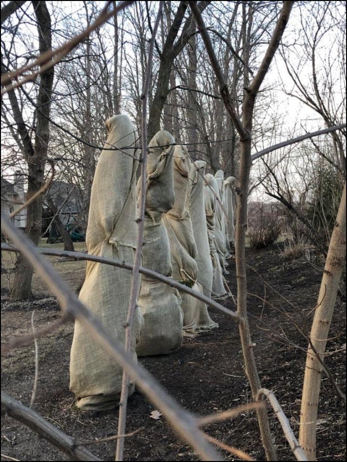 15 լուսանկար, որոնք ցույց են տալիս, թե ինչպես մարդը կարող է խառնել իրերը և ուժեղ վախենալ