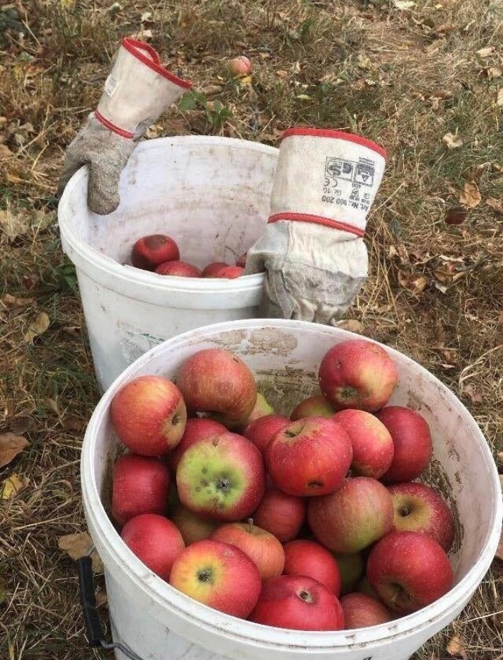 20 գլուխկոտրուկ նկարներ, որոնք հեշտությամբ կխճճեն ձեր ուղեղը